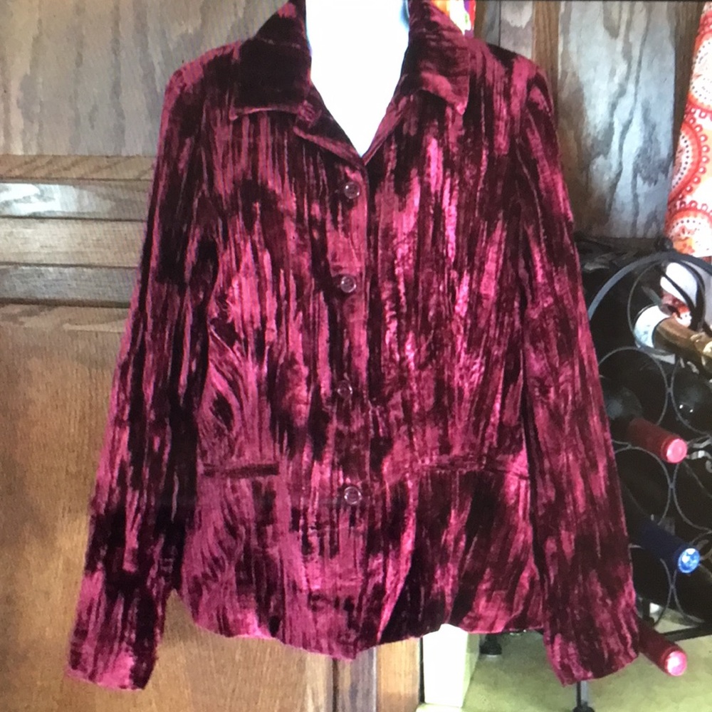 Beautiful Coldwater Creek Velvet Blazer